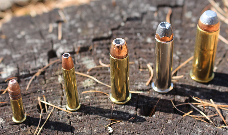 Left to right: .22 LR, .22 Magnum, .38 Special, .357 Magnum, and .44 Magnum. Which is best for you?