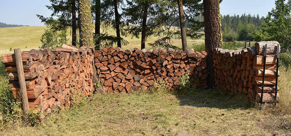 Dry seasoned firewood for the upcoming winter.