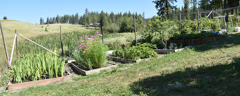 Almost anyone can garden. If you have space, use it wisely.