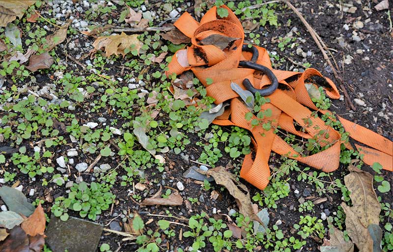 Even trash on the ground can potentially be utilized. While removing broken glass shards, author discovered a strap buried under the ground that may be very useful later.
