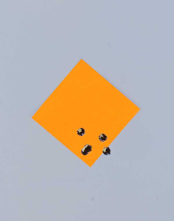 Black Hills 55-grain TSX is about perfect for LE or home defense and was very accurate at 100 yards.