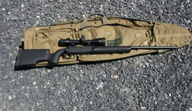 Savage Model 10FCP