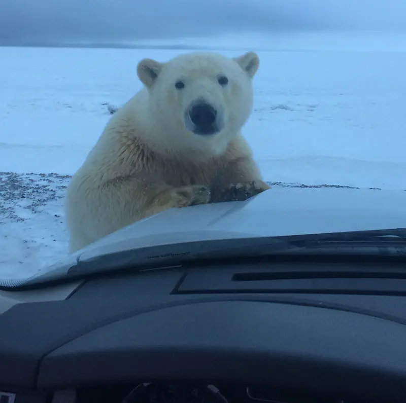 What’s the view from your patrol truck?