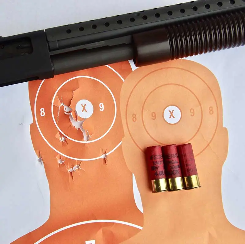 Headshot into Sonofagun hostage taker target with Federal 00 Tactical buckshot at seven yards. To be sure of avoiding the hostage, aiming point was slightly left of eye/nose triangle.