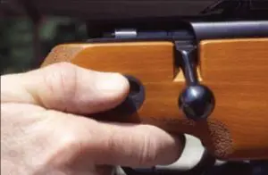 Sliding safety may be pushed forward with the thumb.