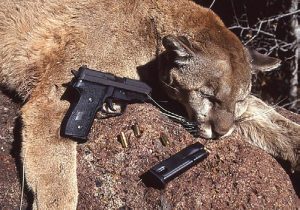 SIG-Arms-CEO-Ted-Rowe-took-this-large-male-mountain-lion-with-what-is-now-heralded-as-an-excellent-self-defense-cartridge,-the-.357-SIG