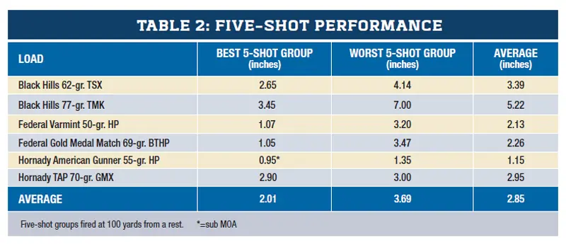 TABLE-2-FIVE-SHOT-PERFORMANCE