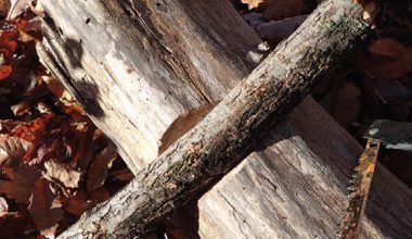 Wooden-stump-not-only-serves-as-a-flat-place-to-work-off-and-sit-on,-but-it-also-makes-a-good-sawhorse