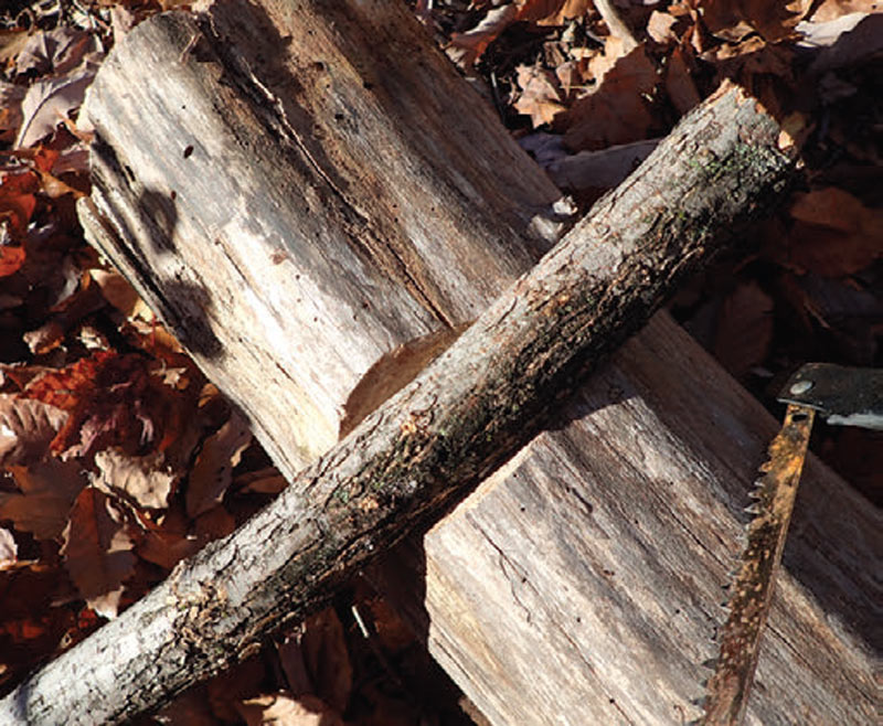 Wooden-stump-not-only-serves-as-a-flat-place-to-work-off-and-sit-on,-but-it-also-makes-a-good-sawhorse