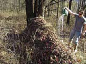 Adam-Wood-pours-water-on-top-of-his-freshly-completed-survival-skills-challenge-debris-hut-to-verify-that-it’s-waterproof