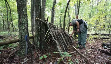 All-it-takes-to-build-the-frame-of-a-classic-debris-hut-is-a-simple-ridge-pole-with-dead-wood-stacked-against-it--