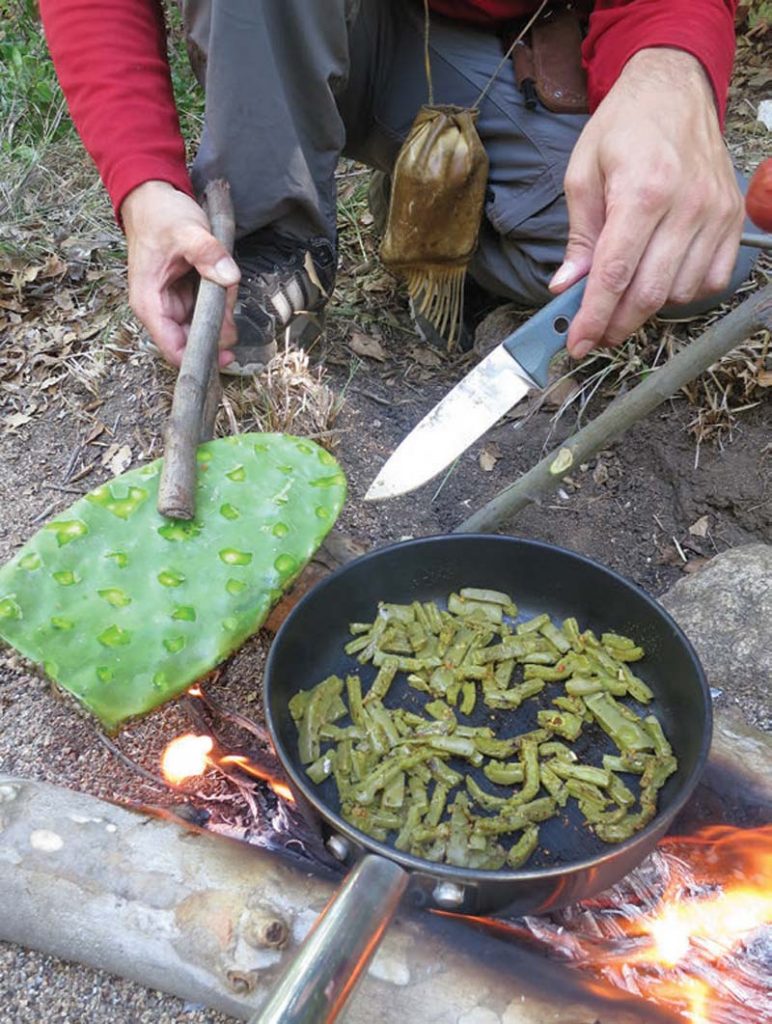 Author-cooks-prickly-pear-cactus-pads-(nopales)