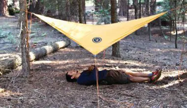 Author-demonstrates-how-big-the-tarp-is