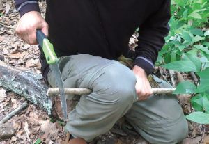 Author-uses-knee-method-to-saw-smaller-diameter-wood-in-a-safe-and-controlled-manner-while-using-Dollar-General-pruning-saw