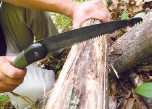 Bahco-Laplander-saws-through-tulip-poplar-in-Georgia