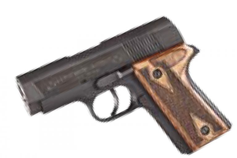 Robar Customized Colt New Agent Pistol - SWAT Survival | Weapons | Tactics