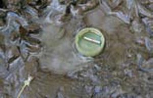 Floating-the-rare-earth-magnet-in-a-bottle-cap-to-find-North