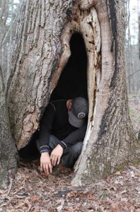 Hollowed-out-tree-may-be-used-in-a-storm-to-get-out-of-the-snow,-wind,-or-rain