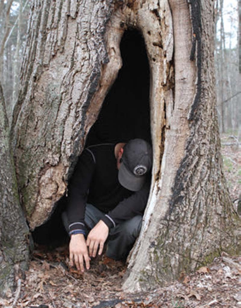 Hollowed-out-tree-may-be-used-in-a-storm-to-get-out-of-the-snow,-wind,-or-rain