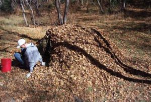 Joe-Fowler-puts-finishing-touches-on-debris-hut-built-for-survival-skills-competition