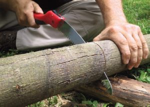 Larger-ten-inch-bladed-Corona-Razor-Tooth-saw-went-through-dry-wood-super-fast