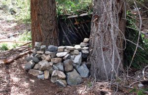 Lean-to-built-by-students-during-survival-course