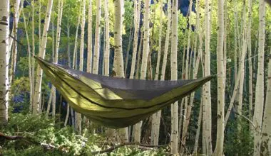 Warbonnet-Outdoors-Blackbird-Hammock