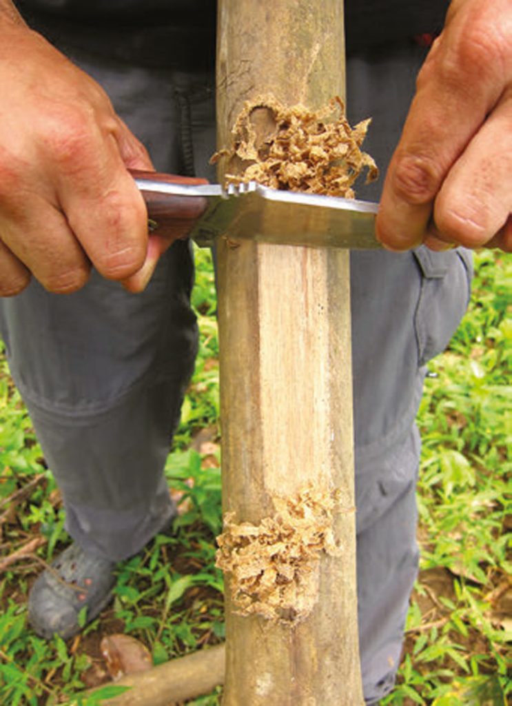 Author-uses-HEFT-4-to-scrape-bamboo-shavings-for-a-fire