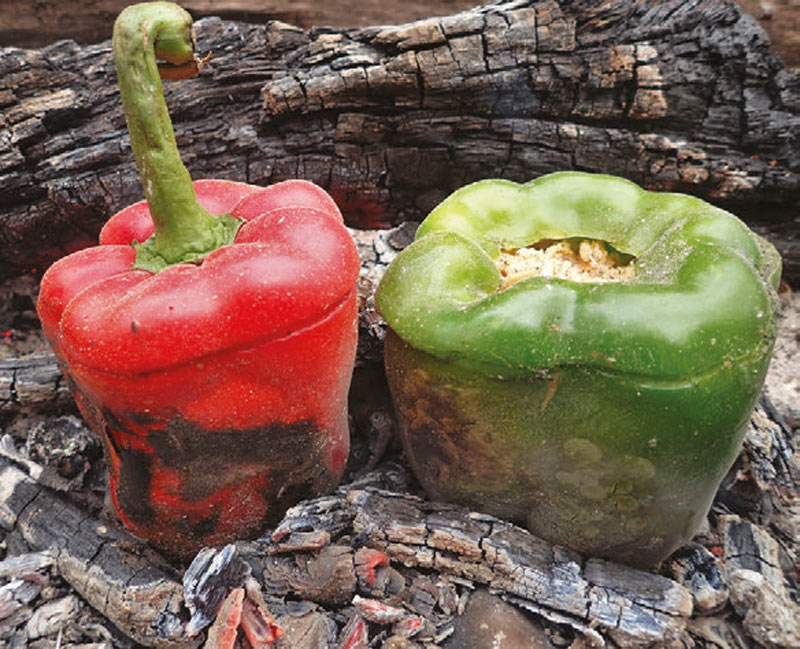 Bell-peppers-cooking-on-top-of-coals