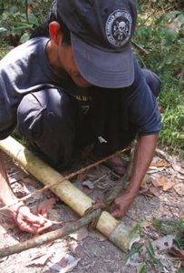 Bow-is-fitted-in-notch-cut-into-dried-bamboo-and-secured-by-thin-vines