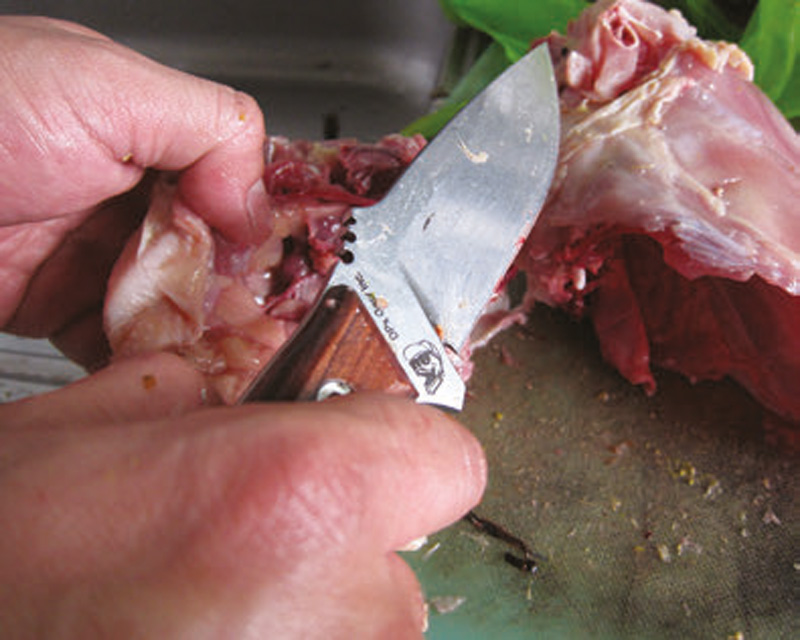 Butchering-a-chicken,-author-cleaved-through-bones-by-pounding-back-of-knife’s-spine-with-his-palm