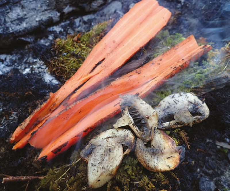 Green-sphagnum-moss-was-used-to-steam-these-carrots-and-mushrooms-over-an-open-fire