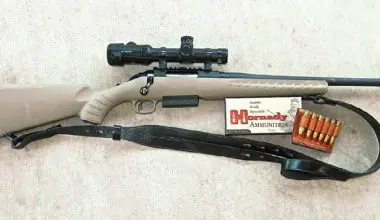 Hansen-used-his-Ruger-Ranch-rifle-chambered-in-.450-Bushmaster-with-Vortex-Viper-PST-1-6X24-scope