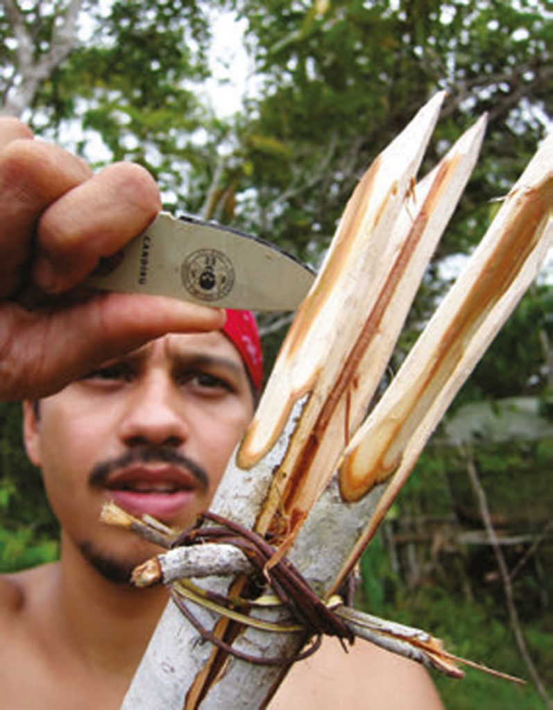 Prongs-of-frog-spear-can-be-easily-sharpened-individually-after-splits-are-made-and-spreader-sticks-inserted