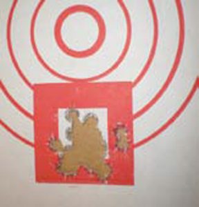 Shot-at-50-yards-by-a-Ruger-employee