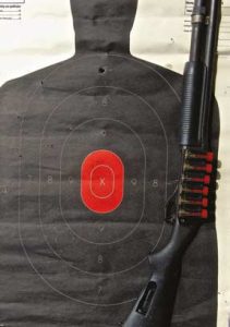 Even-when-fired-through-brush-at-15-yards,-six-flechettes-hit-target