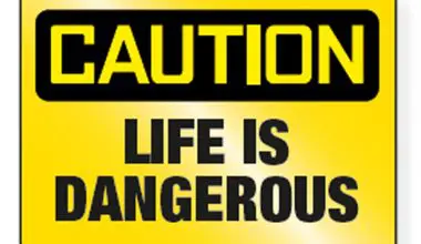 Life-is-dangerous-1