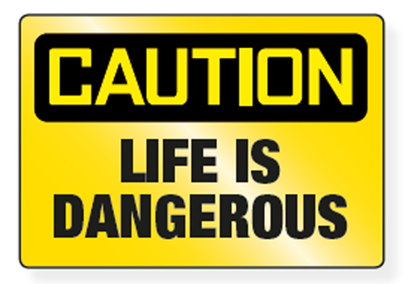 Life-is-dangerous-1